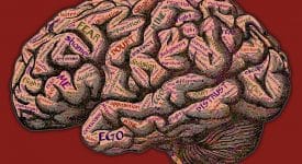【消費者心理學】心理學駭行銷 － 腦神經行銷學