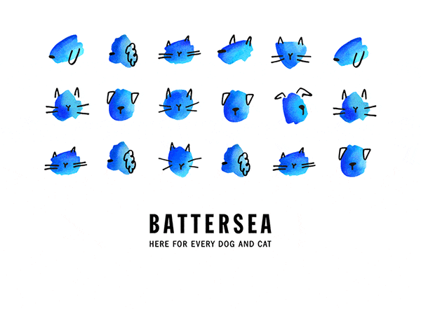 pentagram battersea dogs and cats home rebrand graphic design itsnicethat