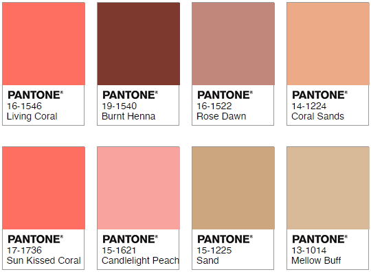 色彩 PANTONE發布2019流行色為珊瑚色 3