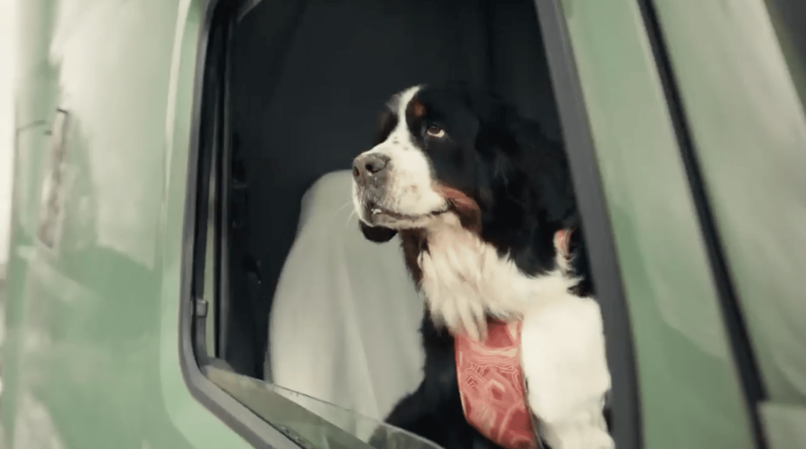 全程拍狗不拍車的Volvo卡車廣告