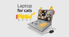 烏克蘭聯想公司推出「貓用」筆記型電腦－喵本