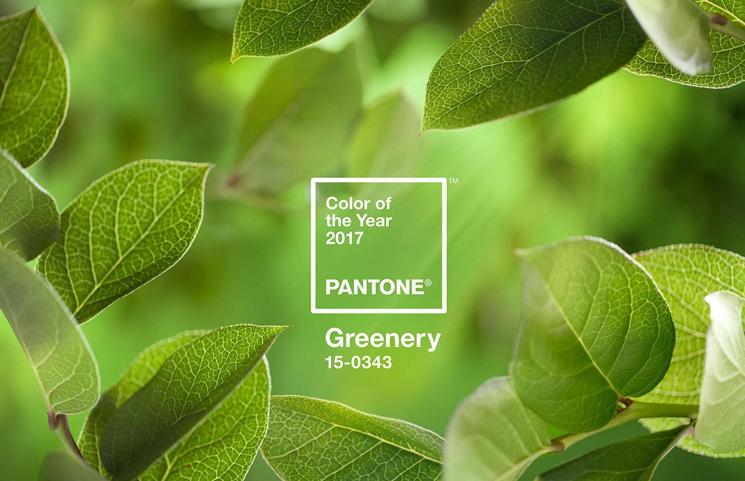 Pantone 發布2022 流行色長春花藍 8