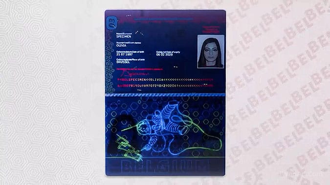比利時卡通護照 3