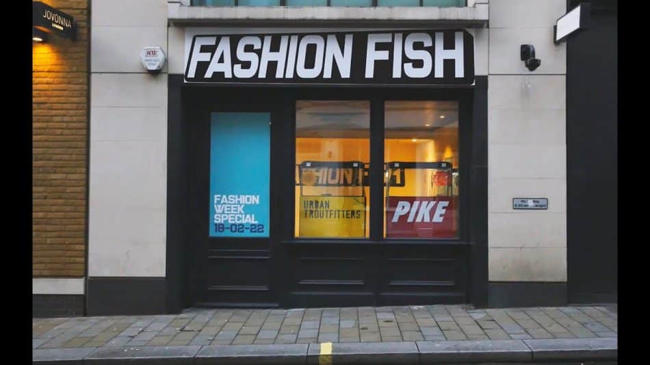 fashion fish