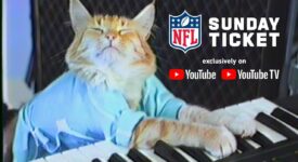 youtube football cat